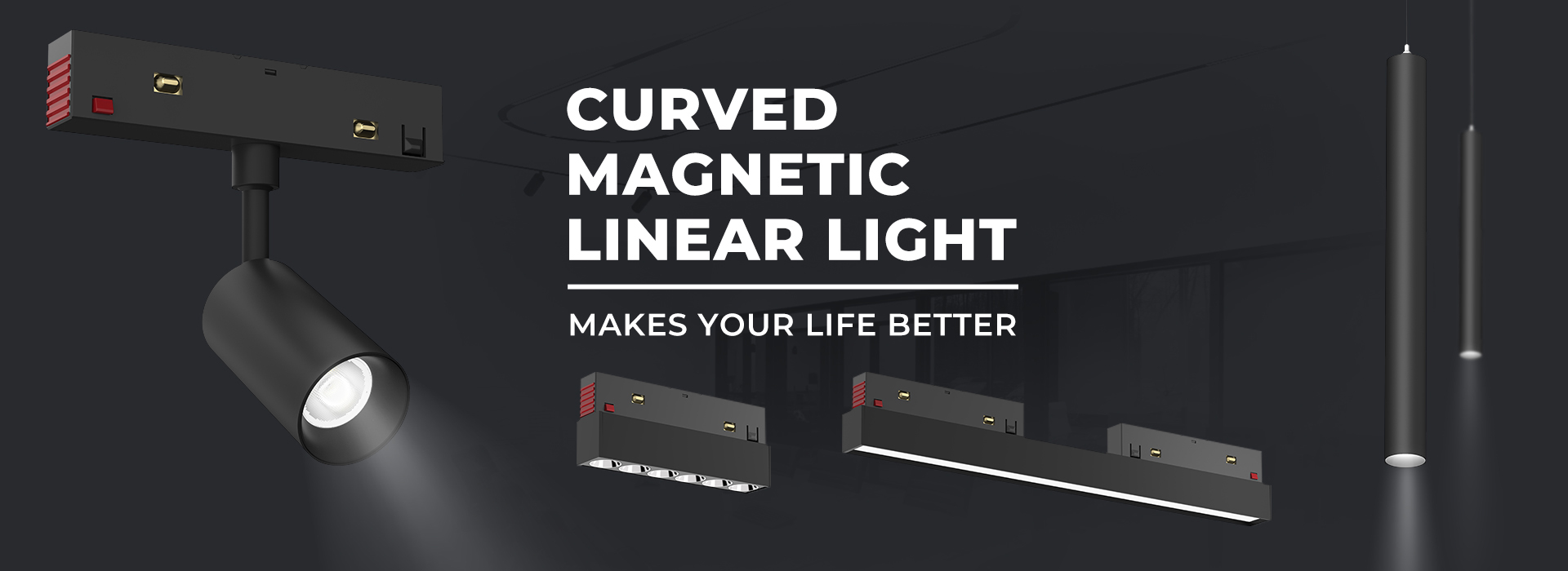 Curved Magnetic Track Light