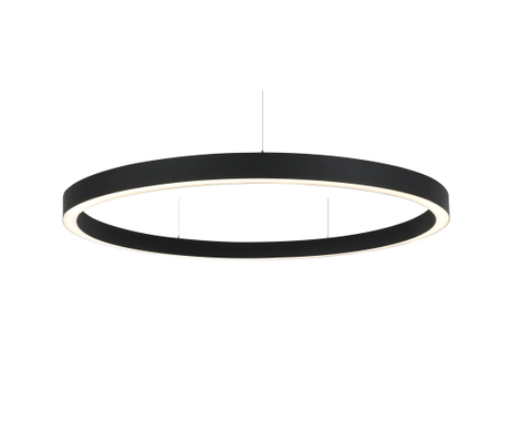 LED Ceiling Linear Cricular Ring
